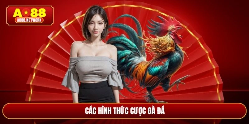 Các hình thức cược gà đá